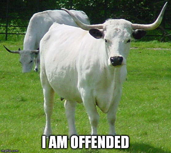 I AM OFFENDED | made w/ Imgflip meme maker