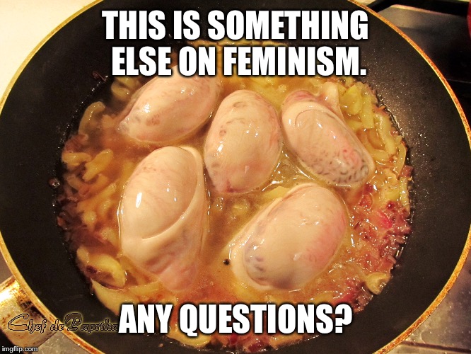 THIS IS SOMETHING ELSE ON FEMINISM. ANY QUESTIONS? | made w/ Imgflip meme maker
