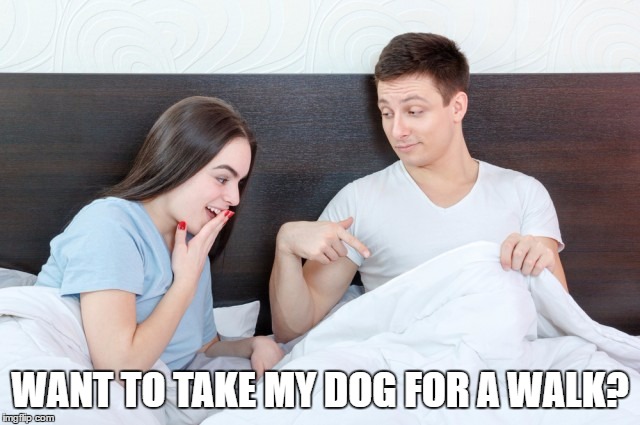 WANT TO TAKE MY DOG FOR A WALK? | made w/ Imgflip meme maker