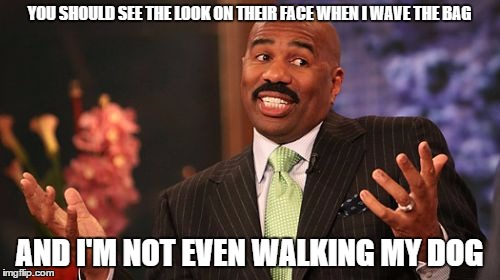 Steve Harvey Meme | YOU SHOULD SEE THE LOOK ON THEIR FACE WHEN I WAVE THE BAG AND I'M NOT EVEN WALKING MY DOG | image tagged in memes,steve harvey | made w/ Imgflip meme maker