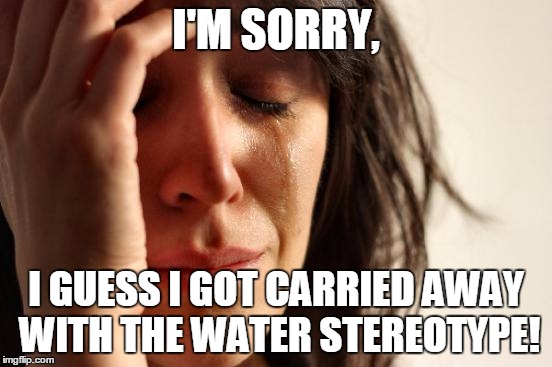 First World Problems Meme | I'M SORRY, I GUESS I GOT CARRIED AWAY WITH THE WATER STEREOTYPE! | image tagged in memes,first world problems | made w/ Imgflip meme maker