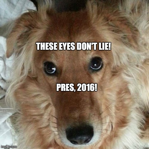 PRES, 2016! THESE EYES DON'T LIE! | made w/ Imgflip meme maker