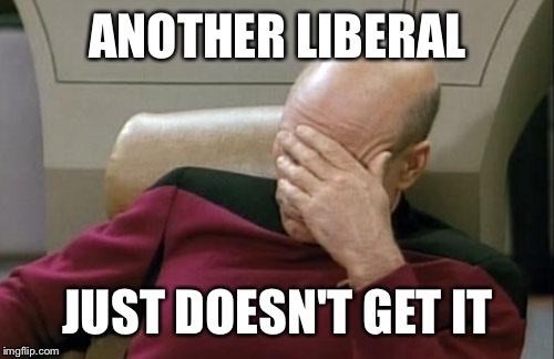 Captain Picard Facepalm Meme | ANOTHER LIBERAL JUST DOESN'T GET IT | image tagged in memes,captain picard facepalm | made w/ Imgflip meme maker
