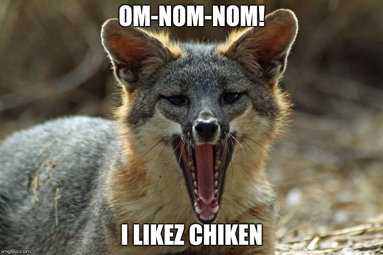 Rosie Hsu | OM-NOM-NOM! I LIKEZ CHIKEN | image tagged in rosie hsu | made w/ Imgflip meme maker