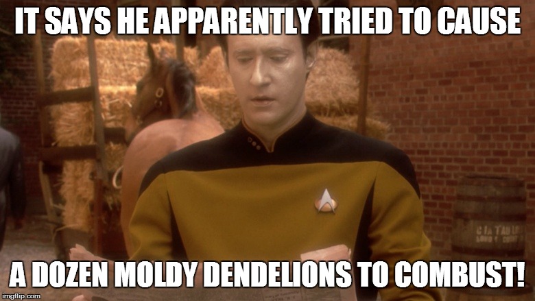 IT SAYS HE APPARENTLY TRIED TO CAUSE A DOZEN MOLDY DENDELIONS TO COMBUST! | made w/ Imgflip meme maker