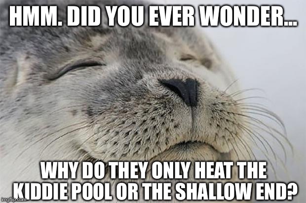 Satisfied Seal Meme | HMM. DID YOU EVER WONDER... WHY DO THEY ONLY HEAT THE KIDDIE POOL OR THE SHALLOW END? | image tagged in memes,satisfied seal | made w/ Imgflip meme maker