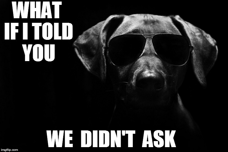 WHAT IF I TOLD YOU WE  DIDN'T  ASK | made w/ Imgflip meme maker