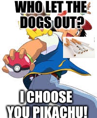 Ash and pikachu  | WHO LET THE DOGS OUT? I CHOOSE YOU PIKACHU! | image tagged in ash and pikachu,scumbag | made w/ Imgflip meme maker