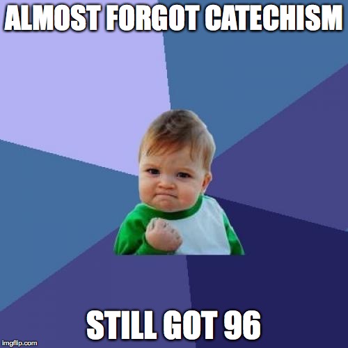 Success Kid Meme | ALMOST FORGOT CATECHISM; STILL GOT 96 | image tagged in memes,success kid | made w/ Imgflip meme maker