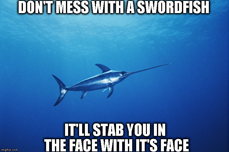 DON'T MESS WITH A SWORDFISH; IT'LL STAB YOU IN THE FACE WITH IT'S FACE | image tagged in swordfish | made w/ Imgflip meme maker