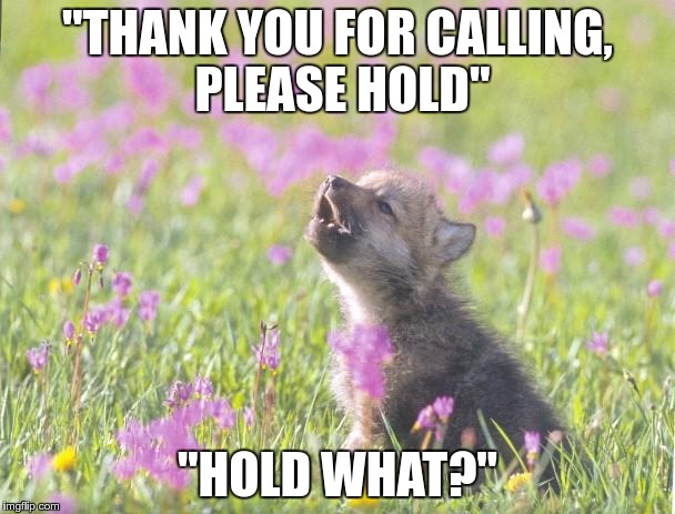 I've gone too far.. | "THANK YOU FOR CALLING, PLEASE HOLD"; "HOLD WHAT?" | image tagged in memes,baby insanity wolf | made w/ Imgflip meme maker
