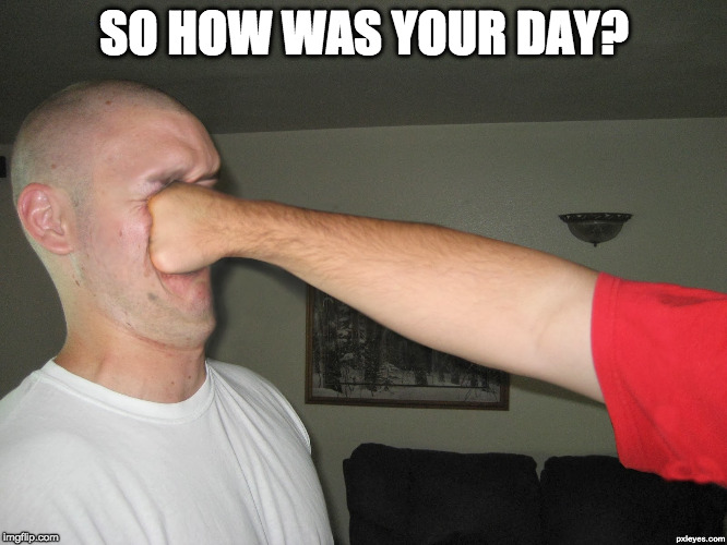 Face punch | SO HOW WAS YOUR DAY? | image tagged in face punch | made w/ Imgflip meme maker