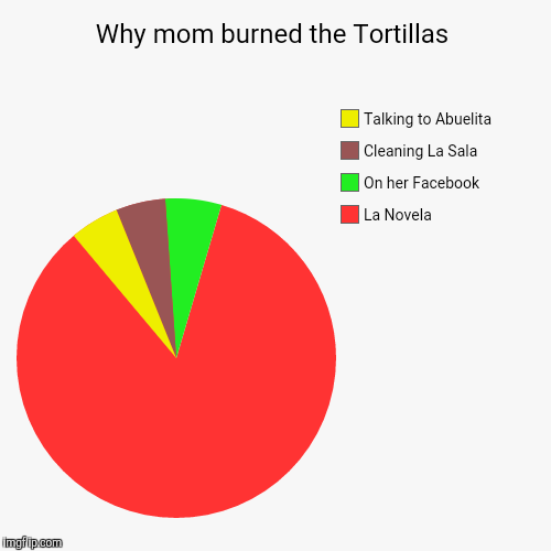 Why mom burned the Tortillas | La Novela , On her Facebook, Cleaning La Sala, Talking to Abuelita | image tagged in funny,pie charts,mexican | made w/ Imgflip chart maker