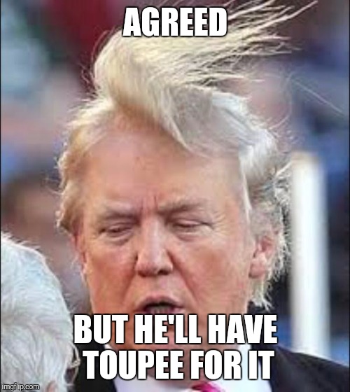 AGREED BUT HE'LL HAVE TOUPEE FOR IT | made w/ Imgflip meme maker