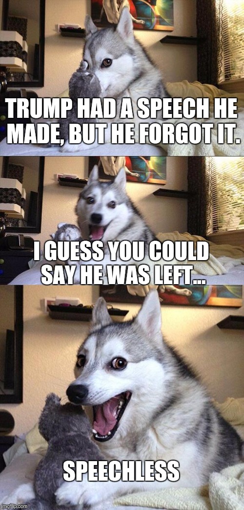 Bad Pun Dog | TRUMP HAD A SPEECH HE MADE, BUT HE FORGOT IT. I GUESS YOU COULD SAY HE WAS LEFT... SPEECHLESS | image tagged in memes,bad pun dog | made w/ Imgflip meme maker