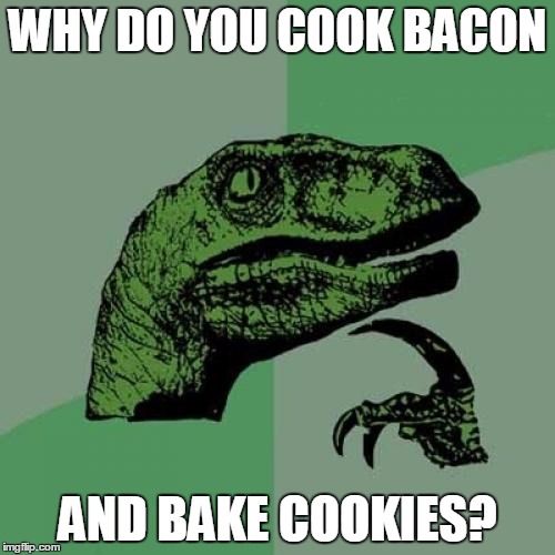 Philosoraptor Meme | WHY DO YOU COOK BACON; AND BAKE COOKIES? | image tagged in memes,philosoraptor | made w/ Imgflip meme maker