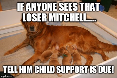 IF ANYONE SEES THAT LOSER MITCHELL..... TELL HIM CHILD SUPPORT IS DUE! | image tagged in funny | made w/ Imgflip meme maker