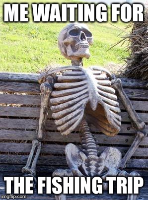 Waiting Skeleton | ME WAITING FOR; THE FISHING TRIP | image tagged in memes,waiting skeleton | made w/ Imgflip meme maker
