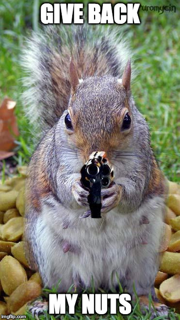 funny squirrels with guns (5) | GIVE BACK; MY NUTS | image tagged in funny squirrels with guns 5 | made w/ Imgflip meme maker