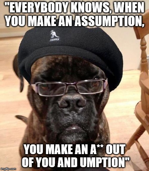 The Long Kiss Goodnight | "EVERYBODY KNOWS, WHEN YOU MAKE AN ASSUMPTION, YOU MAKE AN A** OUT OF YOU AND UMPTION" | image tagged in samuel l dogson | made w/ Imgflip meme maker