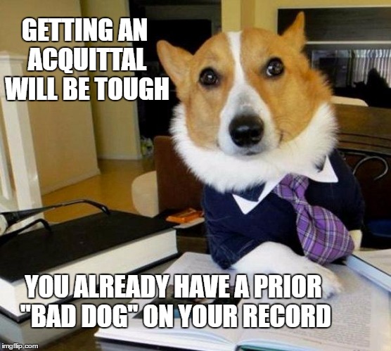 Lawyer Dog | GETTING AN ACQUITTAL WILL BE TOUGH; YOU ALREADY HAVE A PRIOR "BAD DOG" ON YOUR RECORD | image tagged in lawyer dog | made w/ Imgflip meme maker