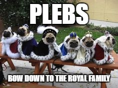 PLEBS; BOW DOWN TO THE ROYAL FAMILY | image tagged in wow | made w/ Imgflip meme maker
