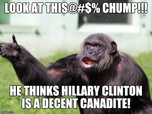 Angry Supervisor Monkey | LOOK AT THIS@#$% CHUMP!!! HE THINKS HILLARY CLINTON IS A DECENT CANADITE! | image tagged in angry supervisor monkey | made w/ Imgflip meme maker