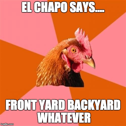 Anti Joke Chicken Meme | EL CHAPO SAYS.... FRONT YARD BACKYARD WHATEVER | image tagged in memes,anti joke chicken | made w/ Imgflip meme maker