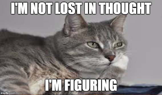 I'M NOT LOST IN THOUGHT I'M FIGURING | made w/ Imgflip meme maker