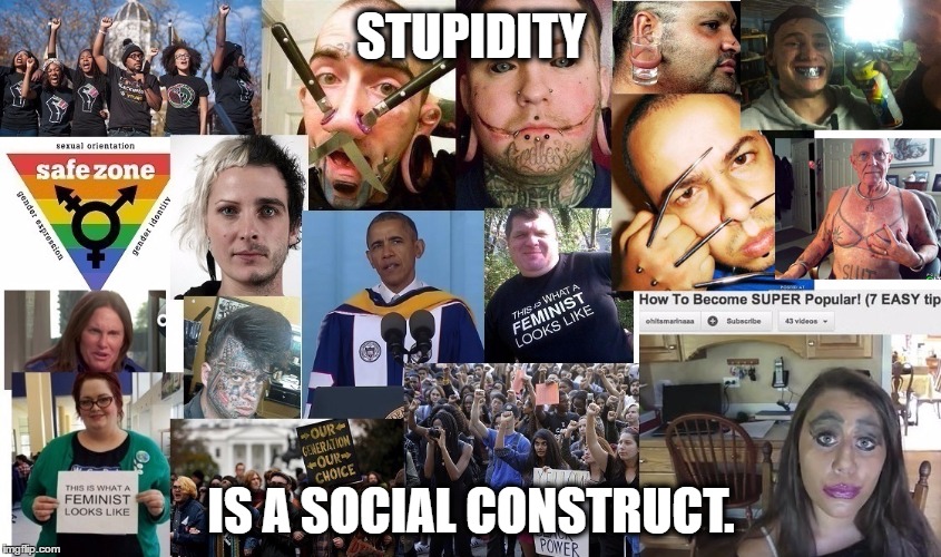 Social Construct  | STUPIDITY; IS A SOCIAL CONSTRUCT. | image tagged in social justice warrior,safe space,political meme,memes | made w/ Imgflip meme maker