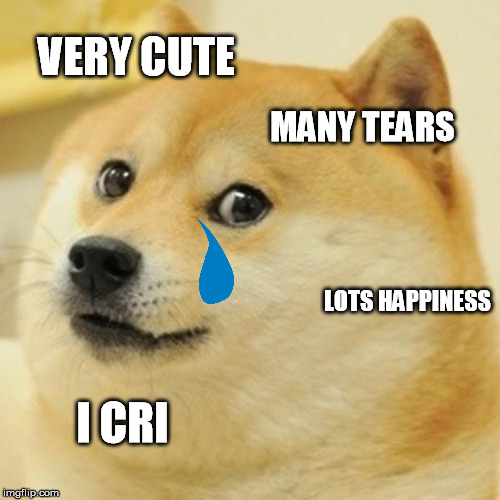 Doge Meme | VERY CUTE MANY TEARS LOTS HAPPINESS I CRI | image tagged in memes,doge | made w/ Imgflip meme maker