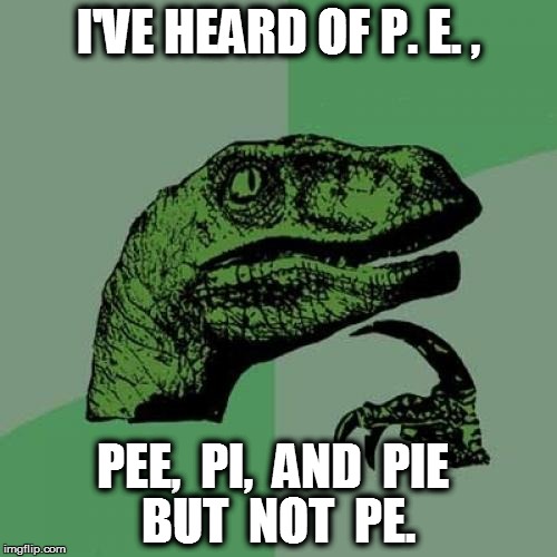 Philosoraptor Meme | I'VE HEARD OF P. E. , PEE,  PI,  AND  PIE BUT  NOT  PE. | image tagged in memes,philosoraptor | made w/ Imgflip meme maker