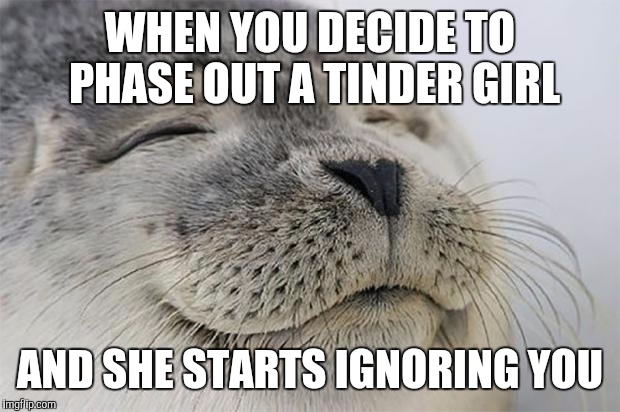 Satisfied Seal | WHEN YOU DECIDE TO PHASE OUT A TINDER GIRL; AND SHE STARTS IGNORING YOU | image tagged in memes,satisfied seal,AdviceAnimals | made w/ Imgflip meme maker