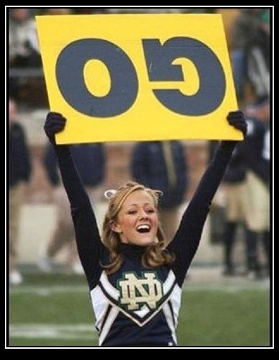 Notre Dame Cheer Blank Meme Template