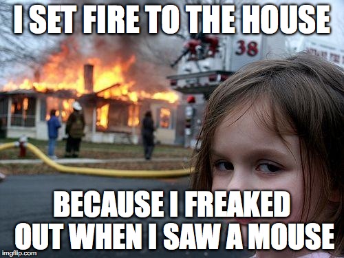 adel inspired her | I SET FIRE TO THE HOUSE; BECAUSE I FREAKED OUT WHEN I SAW A MOUSE | image tagged in memes,disaster girl | made w/ Imgflip meme maker