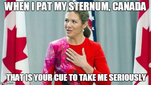 Sophie Trudeau needs to hire a team. | WHEN I PAT MY STERNUM, CANADA; THAT IS YOUR CUE TO TAKE ME SERIOUSLY | image tagged in justin trudeau,canada,sophie trudeau,politics,canadian politics,1st world problems | made w/ Imgflip meme maker