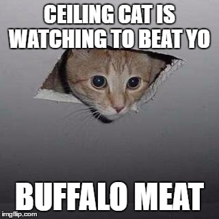 Ceiling Cat | CEILING CAT IS WATCHING TO BEAT YO; BUFFALO MEAT | image tagged in memes,ceiling cat | made w/ Imgflip meme maker