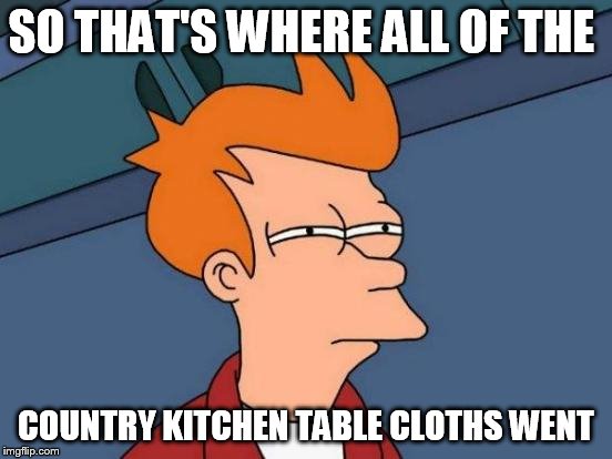 Futurama Fry Meme | SO THAT'S WHERE ALL OF THE COUNTRY KITCHEN TABLE CLOTHS WENT | image tagged in memes,futurama fry | made w/ Imgflip meme maker