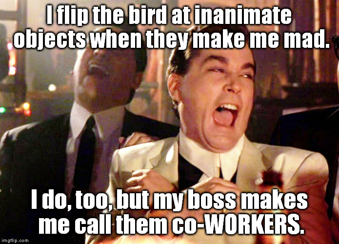 Anyone else do the first part? | I flip the bird at inanimate objects when they make me mad. I do, too, but my boss makes me call them co-WORKERS. | image tagged in memes,good fellas hilarious,funny,lazy coworker,flip the bird | made w/ Imgflip meme maker