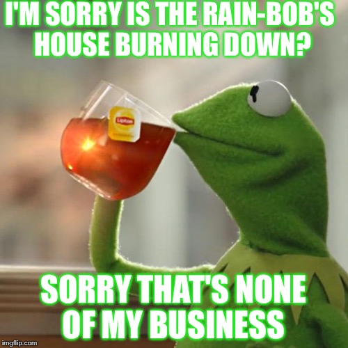But That's None Of My Business | I'M SORRY IS THE RAIN-BOB'S HOUSE BURNING DOWN? SORRY THAT'S NONE OF MY BUSINESS | image tagged in memes,but thats none of my business,kermit the frog | made w/ Imgflip meme maker
