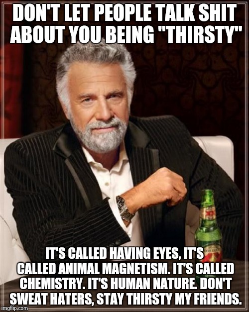 Stay "thirsty" | DON'T LET PEOPLE TALK SHIT ABOUT YOU BEING "THIRSTY"; IT'S CALLED HAVING EYES, IT'S CALLED ANIMAL MAGNETISM. IT'S CALLED CHEMISTRY. IT'S HUMAN NATURE. DON'T SWEAT HATERS, STAY THIRSTY MY FRIENDS. | image tagged in memes,the most interesting man in the world,funny,stay thirsty,thirsty | made w/ Imgflip meme maker