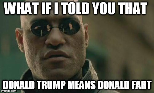 Matrix Morpheus | WHAT IF I TOLD YOU THAT; DONALD TRUMP MEANS DONALD FART | image tagged in memes,matrix morpheus | made w/ Imgflip meme maker