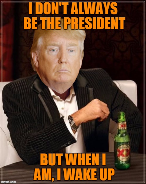 The hard truth | I DON'T ALWAYS BE THE PRESIDENT; BUT WHEN I AM, I WAKE UP | image tagged in memes,the most interesting man in the world,donald trump | made w/ Imgflip meme maker