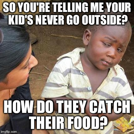 Third World Skeptical Kid Meme | SO YOU'RE TELLING ME YOUR KID'S NEVER GO OUTSIDE? HOW DO THEY CATCH THEIR FOOD? | image tagged in memes,third world skeptical kid | made w/ Imgflip meme maker