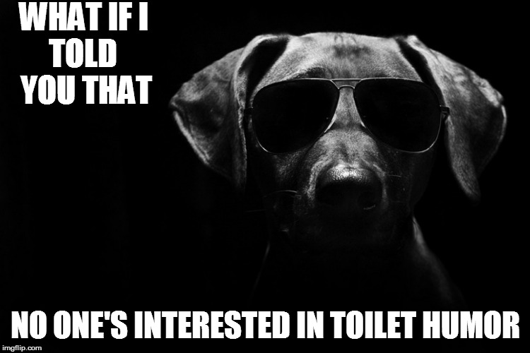 WHAT IF I NO ONE'S INTERESTED IN TOILET HUMOR TOLD YOU THAT | made w/ Imgflip meme maker