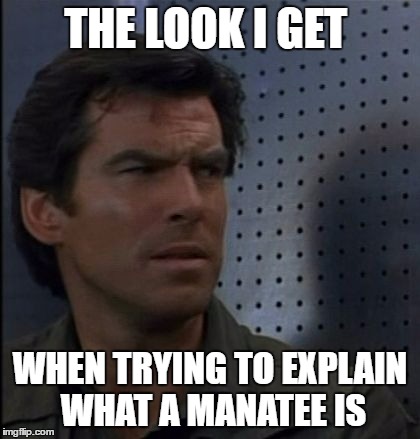 Bothered Bond | THE LOOK I GET; WHEN TRYING TO EXPLAIN WHAT A MANATEE IS | image tagged in memes,bothered bond | made w/ Imgflip meme maker