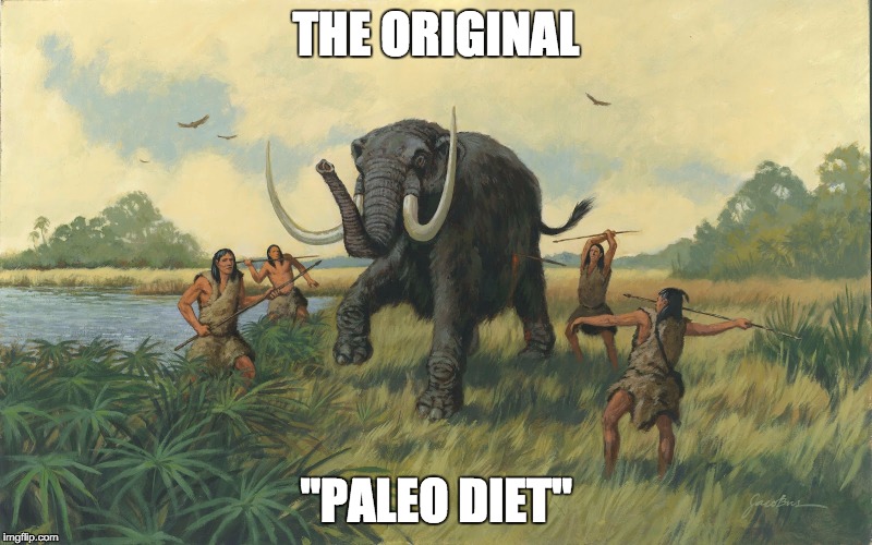 Funny how people only go on a diet when it doesn't force them to go out and hunt Ice Age animals... | THE ORIGINAL; "PALEO DIET" | image tagged in paleo,diet,dieting,bad luck brian | made w/ Imgflip meme maker