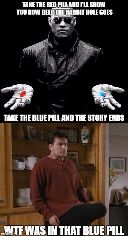 TAKE THE RED PILL AND I'LL SHOW YOU HOW DEEP THE RABBIT HOLE GOES; TAKE THE BLUE PILL AND THE STORY ENDS; WTF WAS IN THAT BLUE PILL | image tagged in blue pill | made w/ Imgflip meme maker