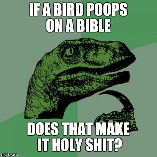 :) | IF A BIRD POOPS ON A BIBLE; DOES THAT MAKE IT HOLY SHIT? | image tagged in memes,philosoraptor | made w/ Imgflip meme maker