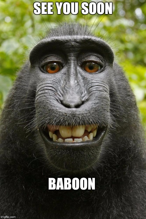 SEE YOU SOON; BABOON | image tagged in baboon selfie | made w/ Imgflip meme maker